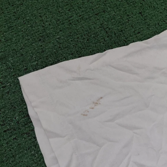 VINTAGE Princess Cruises Panama Canal Cruising Colorful Bird Y2K White T Shirt S - Picture 3 of 9